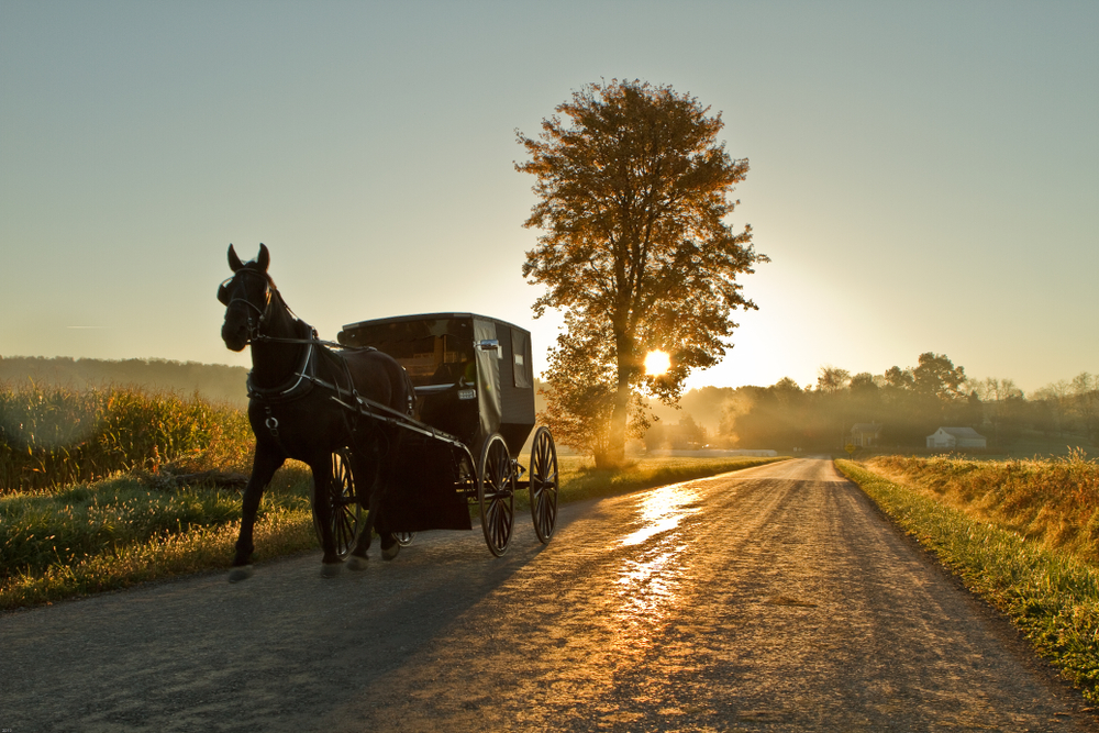 Which U S State Has The Largest Amish Population Travel Trivia